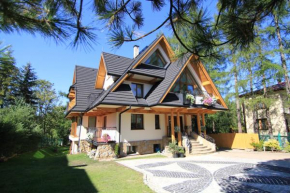 Wilcznik 10 Zakopane